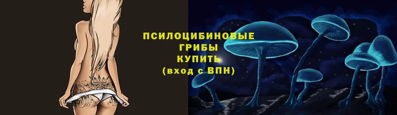 Галлюциногенные грибы MAGIC MUSHROOMS Пучеж